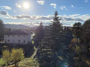 Baugrundstück mit Grünlandanteil (Eigengrund), 699000 €, Immobilien-Grund und Boden in 2103 Langenzersdorf Baugrundstück mit Grünlandanteil (Eigengrund), 699000 €, Immobilien-Grund und Boden in 2103 Langenzersdorf