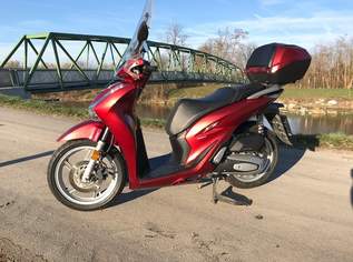 Honda SH 150, 2800 €, Auto & Fahrrad-Motorräder in 3424 Gemeinde Zeiselmauer-Wolfpassing