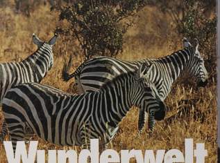 Neues Buch (DOKU) "WUNDERWELT DER TIERE", 25 €, Marktplatz-Bücher & Bildbände in 1200 Brigittenau Neues Buch (DOKU) "WUNDERWELT DER TIERE", 25 €, Marktplatz-Bücher & Bildbände in 1200 Brigittenau