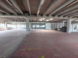Lagerhalle mit Bürooption in verkehrsgünstiger Lage in Salzburg mieten, 7200 €, Immobilien-Gewerbeobjekte in 5020 Salzburg Lagerhalle mit Bürooption in verkehrsgünstiger Lage in Salzburg mieten, 7200 €, Immobilien-Gewerbeobjekte in 5020 Salzburg