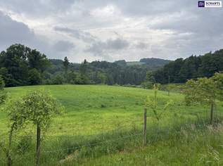 ++ SELTENE GELEGENHEIT ++ GENIAL für PFERDEHALTUNG ++ BAUERNHOF mit ca. 7 HA Landwirtschaftlicher Fläche und Wald ++ NEBENGEBÄUDE++ NÄHE GRAZ++, 899000 €, Immobilien-Grund und Boden in 8063 Eggersdorf bei Graz