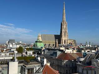 Moderne Maisonettewohnung im Dachgeschoss mit großer Terrasse und einzigartigem Ausblick auf den Stephansplatz, 4995 €, Immobilien-Wohnungen in 1010 Innere Stadt