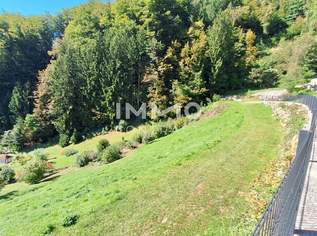 Baugrund 1.177 m² mit Donaublick - Südhang - mit angrenzenden kleinen Grünland 255 m² - St. Nikola, 44500 €, Immobilien-Grund und Boden in 4381 Sankt Nikola an der Donau Baugrund 1.177 m² mit Donaublick - Südhang - mit angrenzenden kleinen Grünland 255 m² - St. Nikola, 44500 €, Immobilien-Grund und Boden in 4381 Sankt Nikola an der Donau