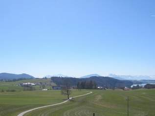 Schöne 2-Zimmer-Dachgeschosswohnung mit Süd-Balkon und See-Fernblick!, 798 €, Immobilien-Wohnungen in 5202 Neumarkt am Wallersee Schöne 2-Zimmer-Dachgeschosswohnung mit Süd-Balkon und See-Fernblick!, 798 €, Immobilien-Wohnungen in 5202 Neumarkt am Wallersee