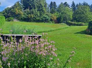 Toller ca. 826 m² großer Baugrund im Tullnerfeld!, 0 €, Immobilien-Grund und Boden in 3042 Würmla