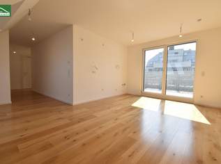 Ihre Freunde werden nicht mehr gehen wollen _ DG-Traum mit 3 Terrassen, Weitblick und direkter Liftzufahrt in Bestlage unweit der U1! - JETZT ZUSCHLAGEN, 499000.64 €, Immobilien-Wohnungen in 1220 Donaustadt