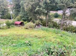 Baugrund mitten in Wernstein, 72440 €, Immobilien-Grund und Boden in 4783 Wernstein am Inn