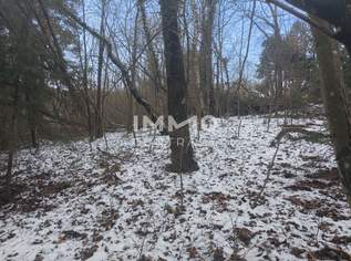 Sehr großes Baugrundstück für all Ihre Ideen!, 530000 €, Immobilien-Grund und Boden in 3021 Pressbaum