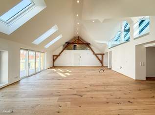 Energieautarktes Altbaujuwel in Badens Fußgängerzone - alte Mühle, 1495000 €, Immobilien-Wohnungen in 2500 Gemeinde Baden