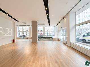 Hochwertige Retailfläche auf zwei Ebenen mit großzügigen Auslagen und hoher Sichtbarkeit, 8305.63 €, Immobilien-Gewerbeobjekte in 1010 Innere Stadt