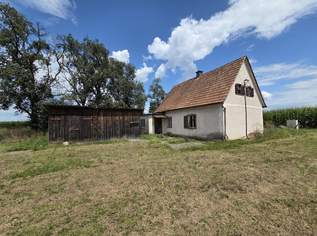 Altes Wohnhaus im Freiland, 49800 €, Immobilien-Häuser in 8472 Gersdorf an der Mur