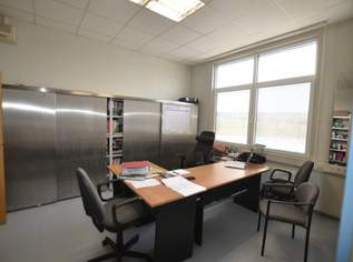Betriebsareal Büro, Halle, Lagerplatz, 1200000 €, Immobilien-Gewerbeobjekte in 7311 Gemeinde Neckenmarkt
