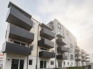 ERSTBEZUG „ein viertel grün“ in Wiener Neustadt - moderne 2 Zimmerwohnung mit Balkon, 688.04 €, Immobilien-Wohnungen in Niederösterreich