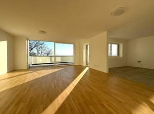 Hochwertige Eigentumswohnung mit traumhaftem Weitblick, 575000 €, Immobilien-Wohnungen in 4407 Dietach