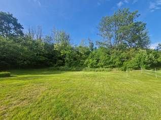 NEUER PREIS: BAUEN UND WOHNEN MIT AUS- UND FERNBLICK DIREKT AN FELDER ANGRENZEND IN AUSGEZEICHNETER WOHNLAGE IM NAHBEREICH VON WIEN UND KORNEUBURG, 450000 €, Immobilien-Grund und Boden in 2011 Katastralgemeinde Oberhautzental NEUER PREIS: BAUEN UND WOHNEN MIT AUS- UND FERNBLICK DIREKT AN FELDER ANGRENZEND IN AUSGEZEICHNETER WOHNLAGE IM NAHBEREICH VON WIEN UND KORNEUBURG, 450000 €, Immobilien-Grund und Boden in 2011 Katastralgemeinde Oberhautzental