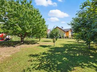 Traumgrundstück in Bi­­samberg: Raum, Nähe zur Großstadt, perfekte Infrastruktur!, 559000 €, Immobilien-Grund und Boden in 2102 Bisamberg