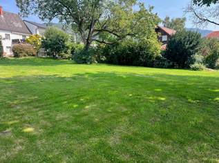 Grundstück mit Potential in guter Lage!, 349000 €, Immobilien-Grund und Boden in 4560 Kirchdorf an der Krems