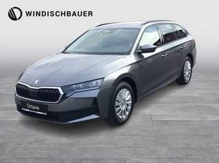 Octavia Essence TSI, 28890 €, Auto & Fahrrad-Autos in 4563 Micheldorf in Oberösterreich