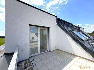 NOCH 1 HAUS FREI! 3 BADEZIMMER-5 ZIMMER. PREMIUM-AUSSTATTUNG. SCHLÜSSELFERTIGES ZIEGELHAUS ZUM TOPPREIS!, 599000 €, Immobilien-Häuser in 1220 Donaustadt NOCH 1 HAUS FREI! 3 BADEZIMMER-5 ZIMMER. PREMIUM-AUSSTATTUNG. SCHLÜSSELFERTIGES ZIEGELHAUS ZUM TOPPREIS!, 599000 €, Immobilien-Häuser in 1220 Donaustadt