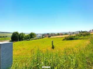HERRLICHER RUNDUM AUSBLICK AUF DIE LANDSCHAFT - Baugrundstück ohne Bauzwang - Sehr gute Verkehrsinfrastruktur nach Wien!, 149000 €, Immobilien-Grund und Boden in 2014 Breitenwaida HERRLICHER RUNDUM AUSBLICK AUF DIE LANDSCHAFT - Baugrundstück ohne Bauzwang - Sehr gute Verkehrsinfrastruktur nach Wien!, 149000 €, Immobilien-Grund und Boden in 2014 Breitenwaida