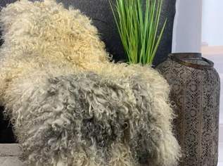 Exklusives Gotland Schaffell SIlberner Glanz & Edle Locken