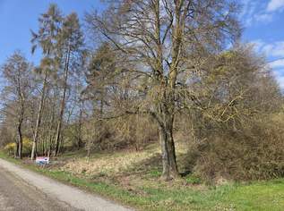 1.531 m² großes Aussichts-Hang-Baugrundstück aufgeschlossen, OHNE Bauzwang und OHNE Bebauungsplan!, 240367 €, Immobilien-Grund und Boden in 4522 Sierning