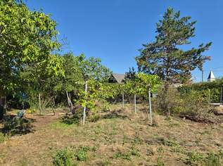 "Für PRIVATE und BAUTRÄGER!", 270000 €, Immobilien-Grund und Boden in 2601 Sollenau "Für PRIVATE und BAUTRÄGER!", 270000 €, Immobilien-Grund und Boden in 2601 Sollenau
