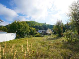 Ebenes Baugrundstück - ideal für Ihr Einfamilien- oder Doppelhausprojekt im Wienerwald, 350000 €, Immobilien-Grund und Boden in 3012 Gemeinde Wolfsgraben Ebenes Baugrundstück - ideal für Ihr Einfamilien- oder Doppelhausprojekt im Wienerwald, 350000 €, Immobilien-Grund und Boden in 3012 Gemeinde Wolfsgraben