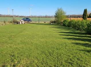 Baugrund mit Entwicklungschance – ruhige Lage, gute Anbindung, Nähe Wien, 260000 €, Immobilien-Grund und Boden in 2285 Gemeinde Leopoldsdorf im Marchfelde Baugrund mit Entwicklungschance – ruhige Lage, gute Anbindung, Nähe Wien, 260000 €, Immobilien-Grund und Boden in 2285 Gemeinde Leopoldsdorf im Marchfelde