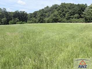 Landwirtschaftliche Flächen in der Nähe von Neuberg im Burgenland!, 0 €, Immobilien-Grund und Boden in 7537 Neuberg im Burgenland Landwirtschaftliche Flächen in der Nähe von Neuberg im Burgenland!, 0 €, Immobilien-Grund und Boden in 7537 Neuberg im Burgenland