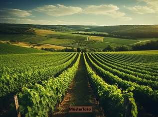 Großzügiges Weingut mit umfangreichen Hallen- und Lagerflächen, 5240000 €, Immobilien-Gewerbeobjekte in 7122 Gols