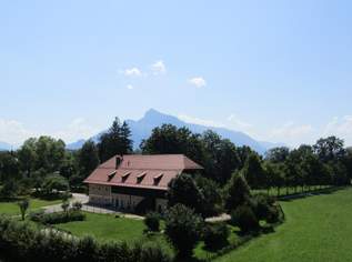 Dachgeschosswohnung im Grünen mit toller Aussicht, 1045 €, Immobilien-Wohnungen in 5020 Salzburg