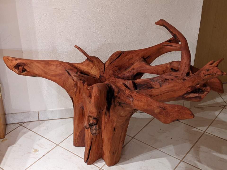 Wurzelstock Wurzelstock