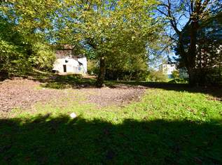 Baugrund ohne Bauzwang am Laichbergweg in Steyr!, 147250 €, Immobilien-Grund und Boden in 4400 Steyr