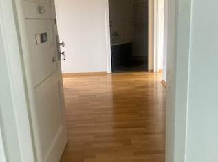 45m² m Wohnung, Terrasse, Erholungsgebiet Alte Donau, für nur eine Person