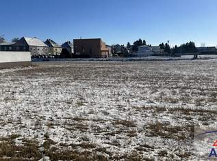 Herrlicher, großer Baugrund in Zentrumslage von Marchtrenk!, 930000 €, Immobilien-Grund und Boden in 4614 Marchtrenk