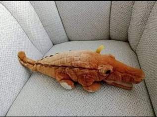 Sammlerstück, Großes Fa Steiff Krokodil, Braun, von Schnauze bis Schwanzende ca 50cm, FIXPREIS 45€ / NUR SELBSTABHOLUNG,23 Bez. KEIN Versand, 45 €, Kindersachen-Spielzeug in 1230 Liesing