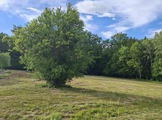 Baugrundstücke für Investoren, Anleger oder Bauträger!, 0 €, Immobilien-Grund und Boden in 8232 Grafendorf bei Hartberg Baugrundstücke für Investoren, Anleger oder Bauträger!, 0 €, Immobilien-Grund und Boden in 8232 Grafendorf bei Hartberg