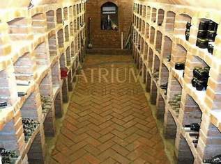 Genießen, entschleunigen, ankommen, 19000 €, Immobilien-Grund und Boden in 2172 Schrattenberg