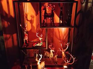 ICH GLAUB' MICH KÜSST EIN HIRSCH !! ICH GLAUB' MICH KÜSST EIN HIRSCH !!