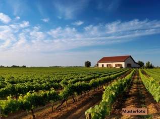 Großzügiges Weingut mit umfangreichen Hallen- und Lagerflächen, 5450000 €, Immobilien-Gewerbeobjekte in 7122 Gols Großzügiges Weingut mit umfangreichen Hallen- und Lagerflächen, 5450000 €, Immobilien-Gewerbeobjekte in 7122 Gols