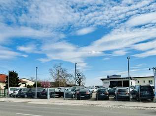 Top Autoplatz für 65 Fahrzeuge, 795000 €, Immobilien-Gewerbeobjekte in 2604 Theresienfeld