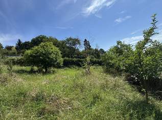 Seltenes Bauträgergrundstück mit Bestandshaus – 4.356 m², 4–5 Bauparzellen möglich, Klosterneuburg, 0 €, Immobilien-Grund und Boden in 3400 Gemeinde Klosterneuburg Seltenes Bauträgergrundstück mit Bestandshaus – 4.356 m², 4–5 Bauparzellen möglich, Klosterneuburg, 0 €, Immobilien-Grund und Boden in 3400 Gemeinde Klosterneuburg