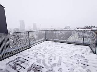 FERNBLICK, DACHGESCHOSS, 102 m2 Maisonette, Wohnküche, 2 Zimmer, Wannenbad, Parketten, Innstraße, 1898.49 €, Immobilien-Wohnungen in 1200 Brigittenau