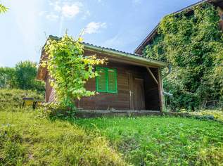 Naturoase für Auszeithungrige, 97000 €, Immobilien-Grund und Boden in 4492 Hofkirchen im Traunkreis