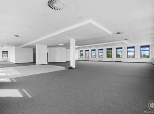 Gewerbeimmobilie in Wien: 490m² für 5.390€/Monat – Ideal für Ihr Unternehmen!, 5390 €, Immobilien-Gewerbeobjekte in 1230 Liesing Gewerbeimmobilie in Wien: 490m² für 5.390€/Monat – Ideal für Ihr Unternehmen!, 5390 €, Immobilien-Gewerbeobjekte in 1230 Liesing