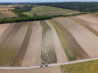 Landwirtschaftliches Grundstück in der KG Auersthal - 3103m2, 0 €, Immobilien-Gewerbeobjekte in 2214 Auersthal Landwirtschaftliches Grundstück in der KG Auersthal - 3103m2, 0 €, Immobilien-Gewerbeobjekte in 2214 Auersthal