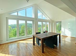 DG-Wohnung mit Traumblick und Eigengarten mit Schwimmteich in Jahrhundertwende-Villa auf der oberen Lawies, 460000 €, Immobilien-Wohnungen in Niederösterreich