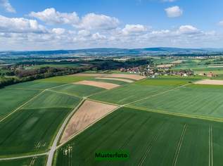 Weinbauflächen in bester Lage der Katastralgemeinde Illmitz, 107000 €, Immobilien-Grund und Boden in 7142 Illmitz Weinbauflächen in bester Lage der Katastralgemeinde Illmitz, 107000 €, Immobilien-Grund und Boden in 7142 Illmitz