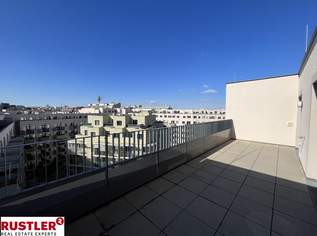 Traumhafte Dachterrasse - moderner Neubau, 1013.08 €, Immobilien-Wohnungen in 1110 Simmering